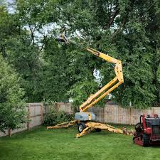 Trusted Spring Grove, PA Tree Removal and Landscaping Services Experts